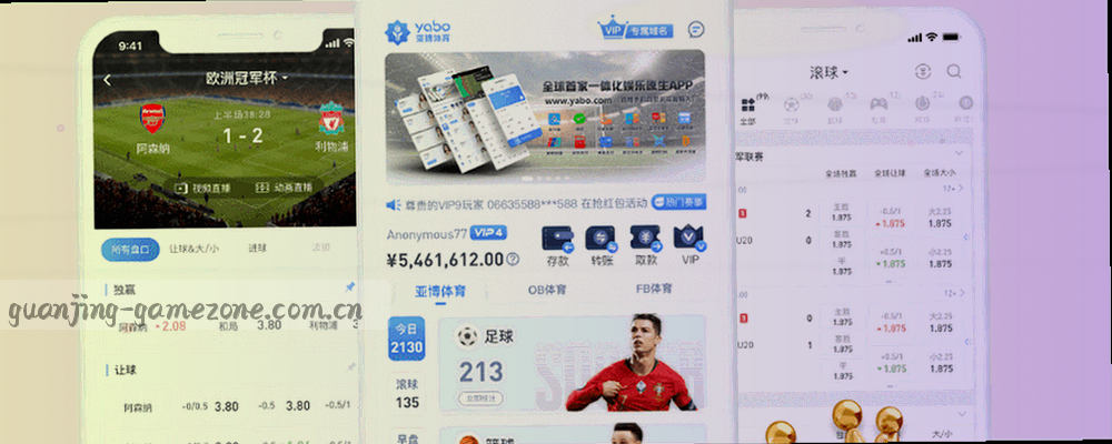 亚洲联赛分布示意图，标注华人联赛导航冠竞的主要覆盖区域